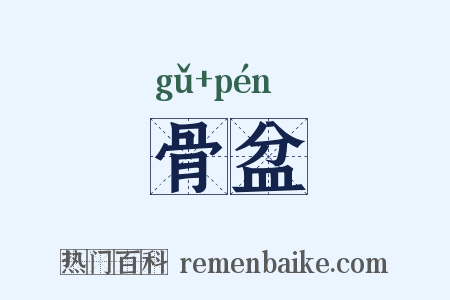 骨盆是什么意思的图片